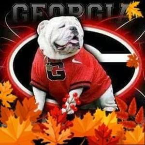 Meet your Posher, Mardis